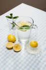 Limoni con erbe aromatiche e brocca d'acqua — Foto stock