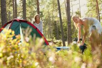 Mujeres instalando camping en el bosque - foto de stock
