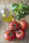 Tomatoes with olive oil and basil — Stock Photo