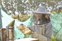 Жінка-бджоляр дивиться на лоток для медового паперу на міському виділенні — стокове фото