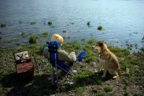 Хлопчик риболовля з собакою — стокове фото