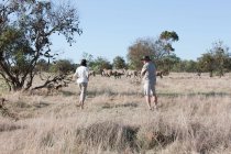 Personas que observan la vida silvestre en safari, Stellenbosch, Sudáfrica - foto de stock