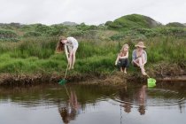 Meninas pescando com redes em riacho — Fotografia de Stock