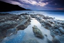 Rocas cubiertas de musgo en la costa - foto de stock