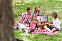 Familia haciendo picnic en el parque - foto de stock