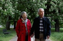 Пара пожилых людей прогулка в парке — стоковое фото