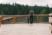 Father and son standing on bridge, rear view, Kinsol Trestle Bridge, British Columbia, Canada — Stock Photo