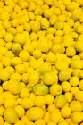Pile de fruits de citron frais récoltés — Photo de stock