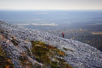 Trail runner ascending rocky steep hill, Kesankitunturi, Lapland, Finlândia — Fotografia de Stock