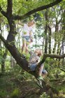 Niño y niña en árbol cara a cara sonriendo - foto de stock