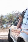 Женщины смотрят на жирафов из автомобиля, Stellenbosch, Южная Африка — стоковое фото