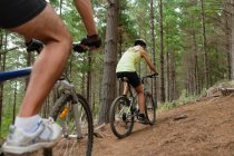 Пара гірських велосипедів у лісі — стокове фото