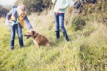 Дівчата погладжують собаку в сільському саду — стокове фото