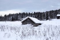 Abandoned old barn in snow — Stock Photo