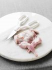 Raw quail and kitchen shears on plate — Stock Photo