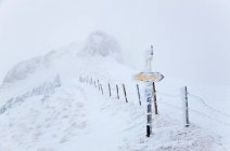 Дорожній знак затьмарений снігом — стокове фото