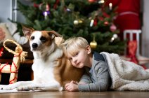 Мальчик и собака у елки — стоковое фото