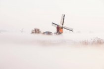 Vecchi mulini a vento olandesi nella nebbia — Foto stock