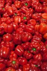 Pile of red bell peppers — Stock Photo