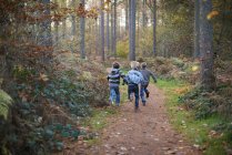 Vista posteriore dei ragazzi che corrono attraverso la foresta — Foto stock