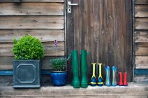 Pairs of rain boots and plants on porch — Stock Photo