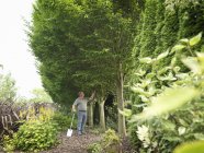 Giardiniere Ispezione alberi in giardino — Foto stock