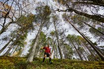 Trail runner discesa ripida collina, Kesankitunturi, Lapponia, Finlandia — Foto stock