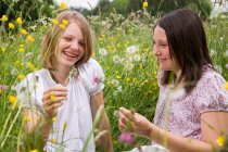 Дівчата на лузі з квітами — стокове фото