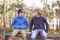 Twin brothers sitting on gate in forest — Stock Photo