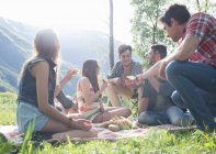 Amici seduti a fare picnic — Foto stock