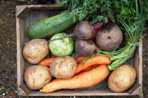 Frisches Gemüse in Holzkiste — Stockfoto