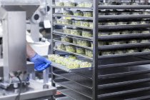 Обрізане зображення чоловічого працівника, що працює на органічній фабриці з виробництва тофу — стокове фото