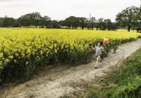 Boy running along yellow flower field track pulling red balloon — Stock Photo