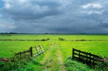 Camino de la suciedad en prado rural - foto de stock