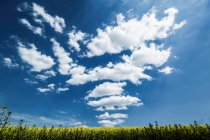 Nubes sobre paisaje rural herboso - foto de stock