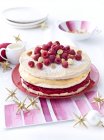 Meringue layer cake with raspberries — Stock Photo