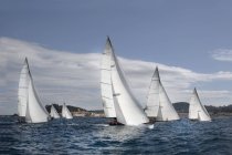 Fleet of sailing yachts — Stock Photo