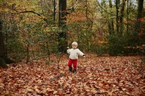 Тодлер ходить осіннім листям — стокове фото