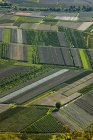 Vista aerea dei campi coltivati verdi — Foto stock