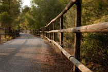 Деревянный забор вдоль сельской дороги под солнечным светом — стоковое фото