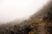 Passerelle sur montagne enneigée — Photo de stock