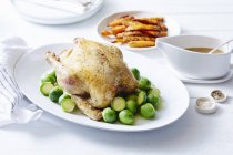 Roast chicken with brussel sprouts and carrots — Stock Photo