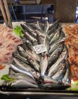 Риба та морепродукти для продажу на ринку — стокове фото