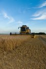 Harvester working in crop field — Stock Photo