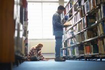 Jóvenes universitarios femeninos y masculinos que trabajan en la biblioteca - foto de stock