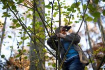 Garçon sur l'arbre regardant à travers les jumelles dans les bois en automne — Photo de stock