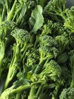 Primo piano colpo di steli di broccoli maturi — Foto stock