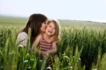 Mother kissing child in wheat field — Stock Photo