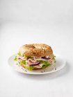 Ham and onion burger on plate — Stock Photo
