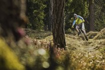 Joven ciclista de montaña en bicicleta cuesta abajo en el bosque - foto de stock